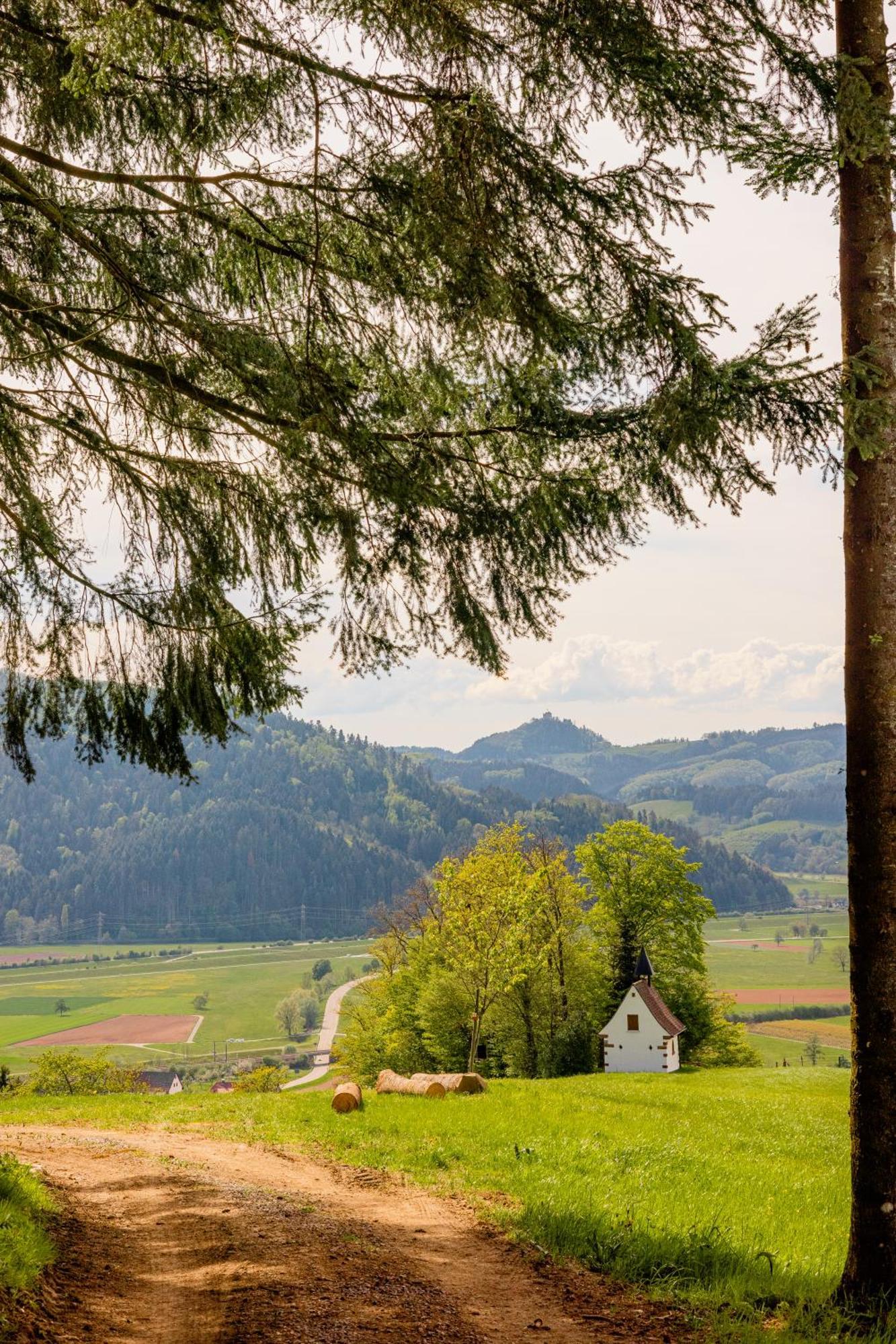 Landhotel Gasthaus Zum Pflug تسل-آم-هارمرزباخ المظهر الخارجي الصورة